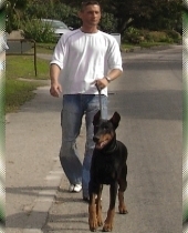 DOBERMANN