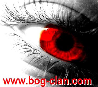 =|BoG|=DaYsi